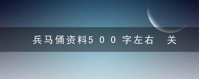 兵马俑资料500字左右 关于兵马俑资料